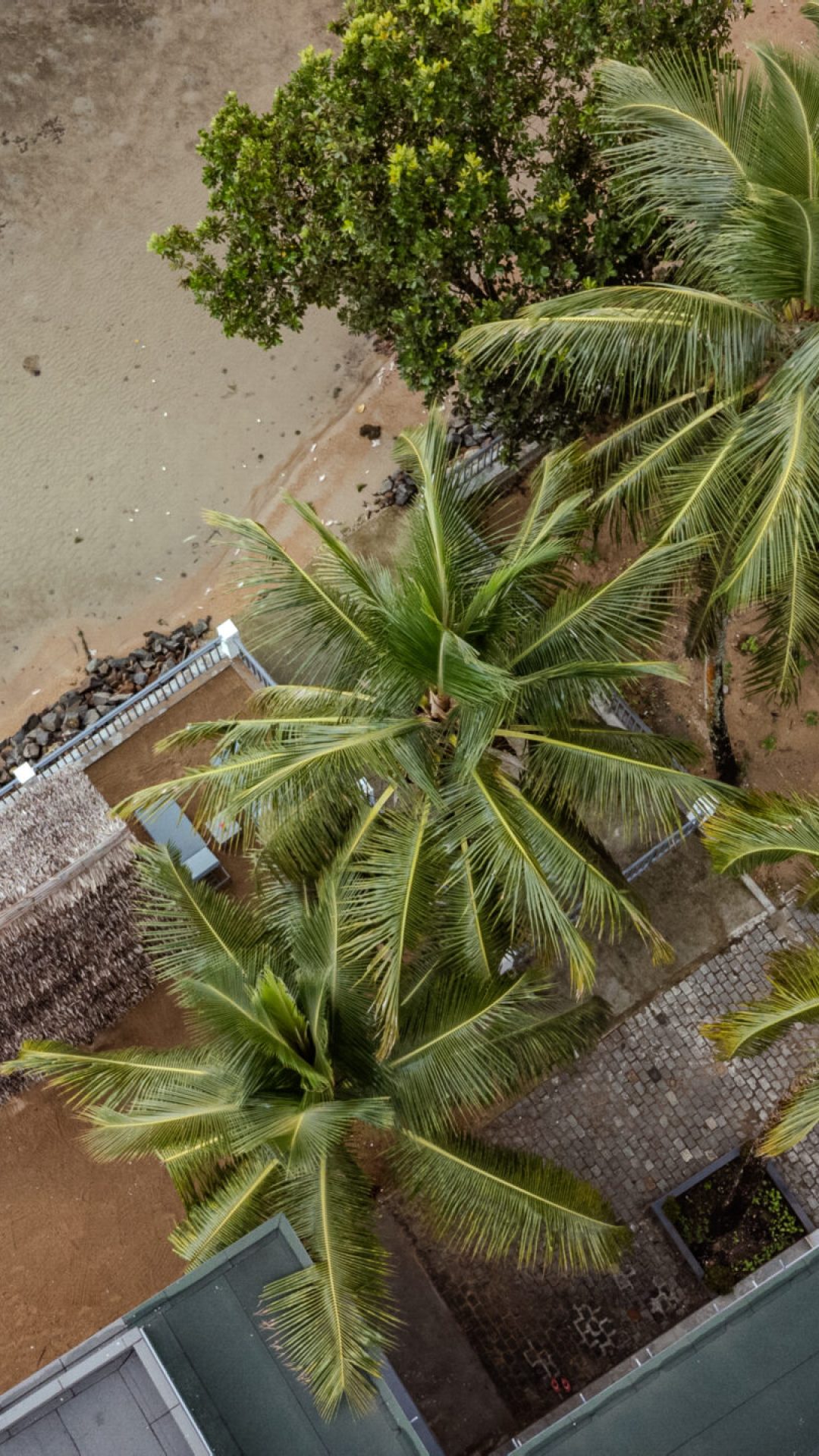 DJI_0445