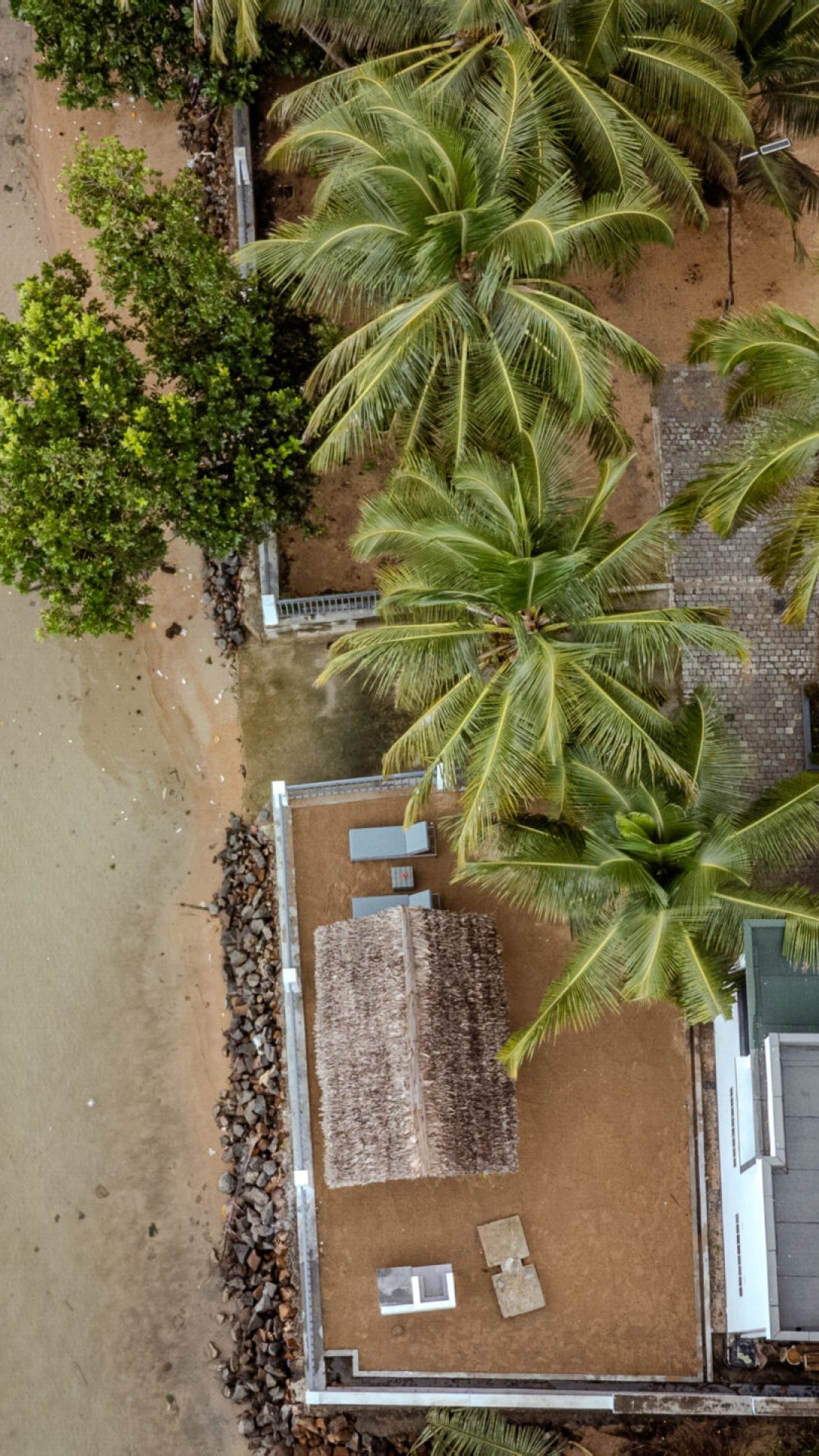 DJI_0446