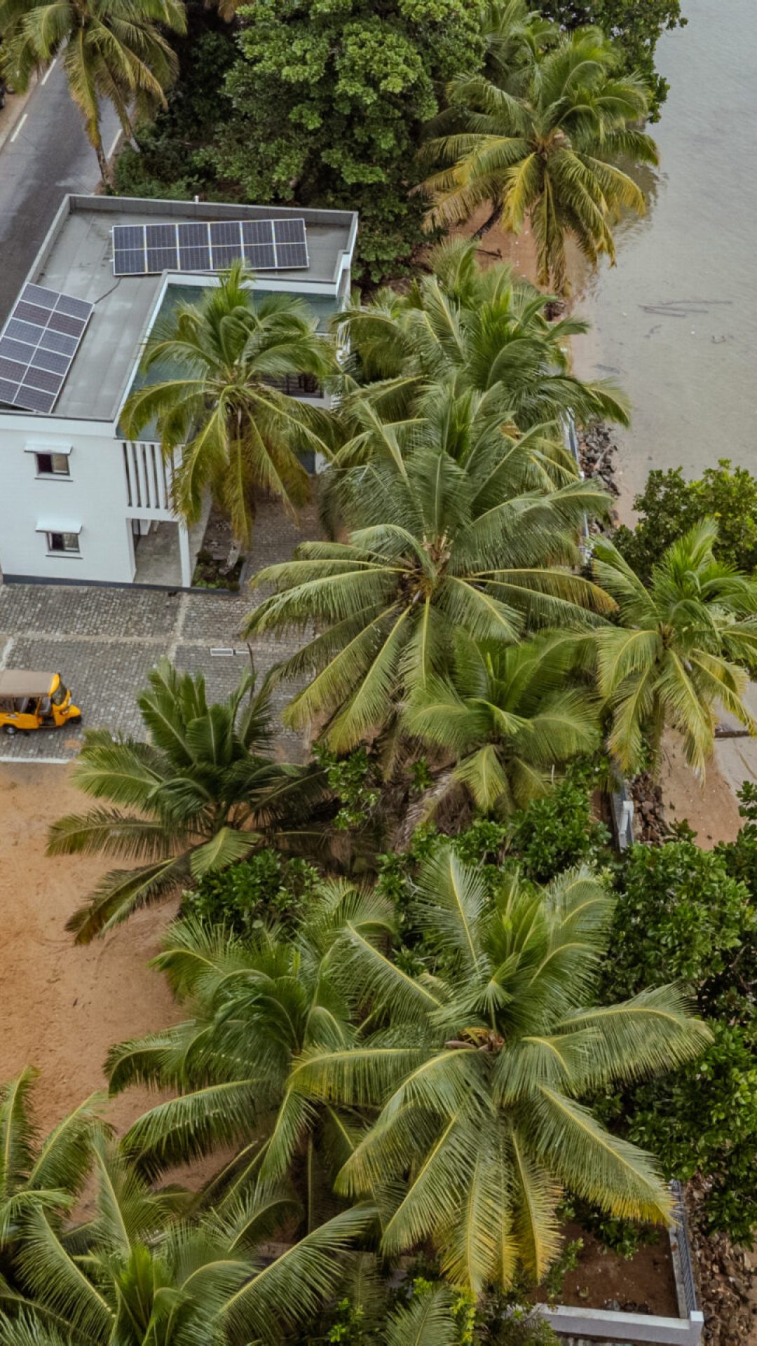 DJI_0447